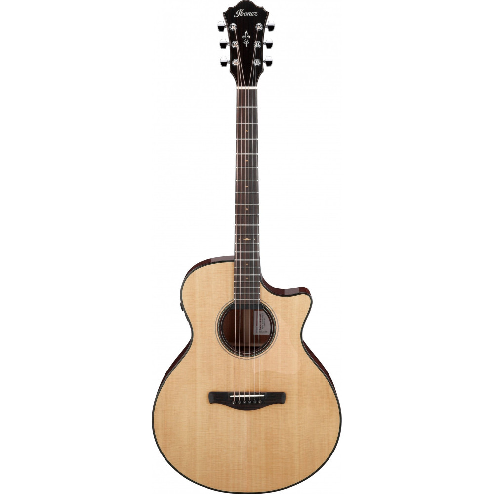 Ibanez AE410-LGS Platinum Collection Acoustic Guitar 6 String - Natural Low Gloss + Case