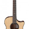 Ibanez AE410-LGS Platinum Collection Acoustic Guitar 6 String - Natural Low Gloss + Case