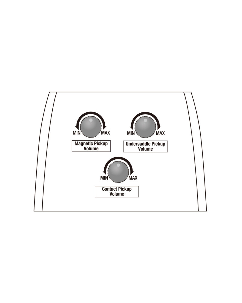 Ibanez AE410-LGS Platinum Collection Acoustic Guitar 6 String - Natural Low Gloss + Case