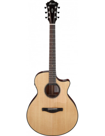 Ibanez AE410-LGS Platinum Collection Acoustic Guitar 6 String - Natural Low Gloss + Case
