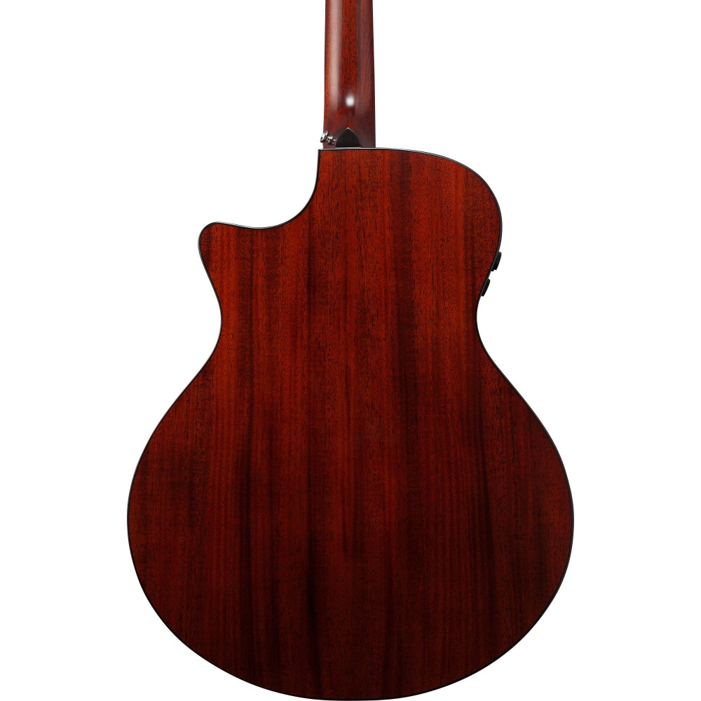 Ibanez AE410-LGS Platinum Collection Acoustic Guitar 6 String - Natural Low Gloss + Case