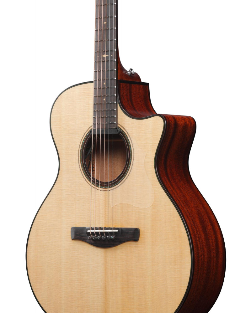 Ibanez AE410-LGS Platinum Collection Acoustic Guitar 6 String - Natural Low Gloss + Case