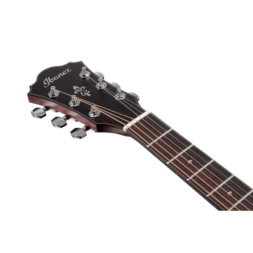 Ibanez AE410-LGS Platinum Collection Acoustic Guitar 6 String - Natural Low Gloss + Case