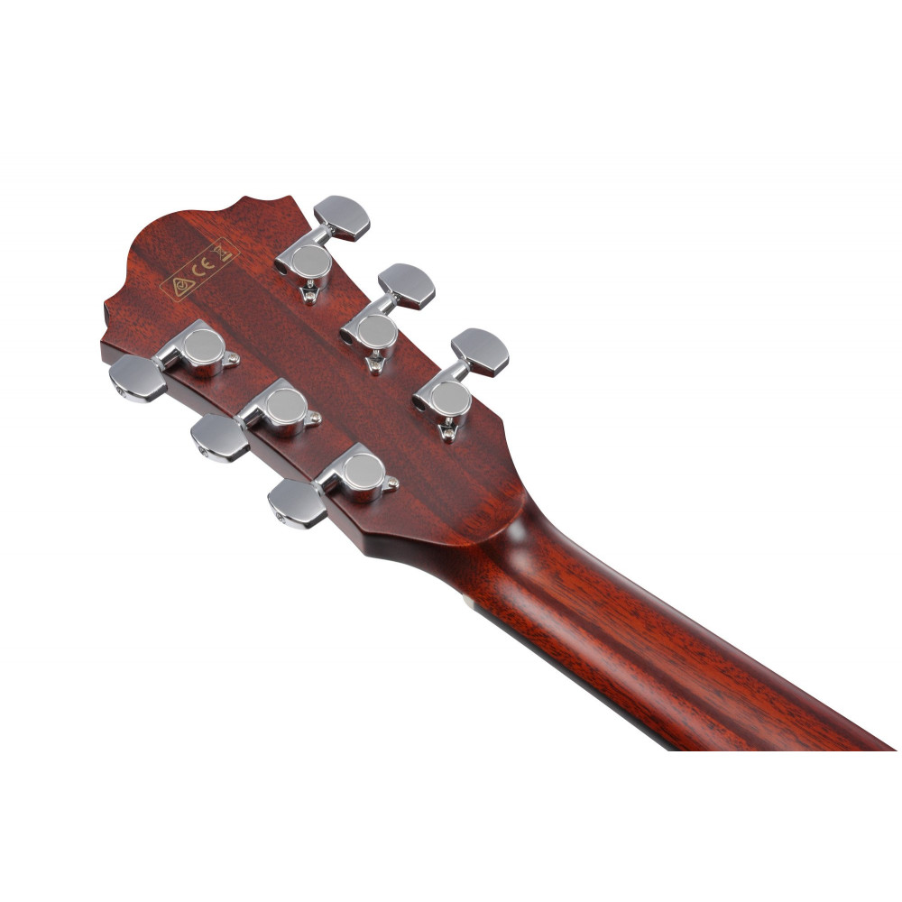 Ibanez AE410-LGS Platinum Collection Acoustic Guitar 6 String - Natural Low Gloss + Case