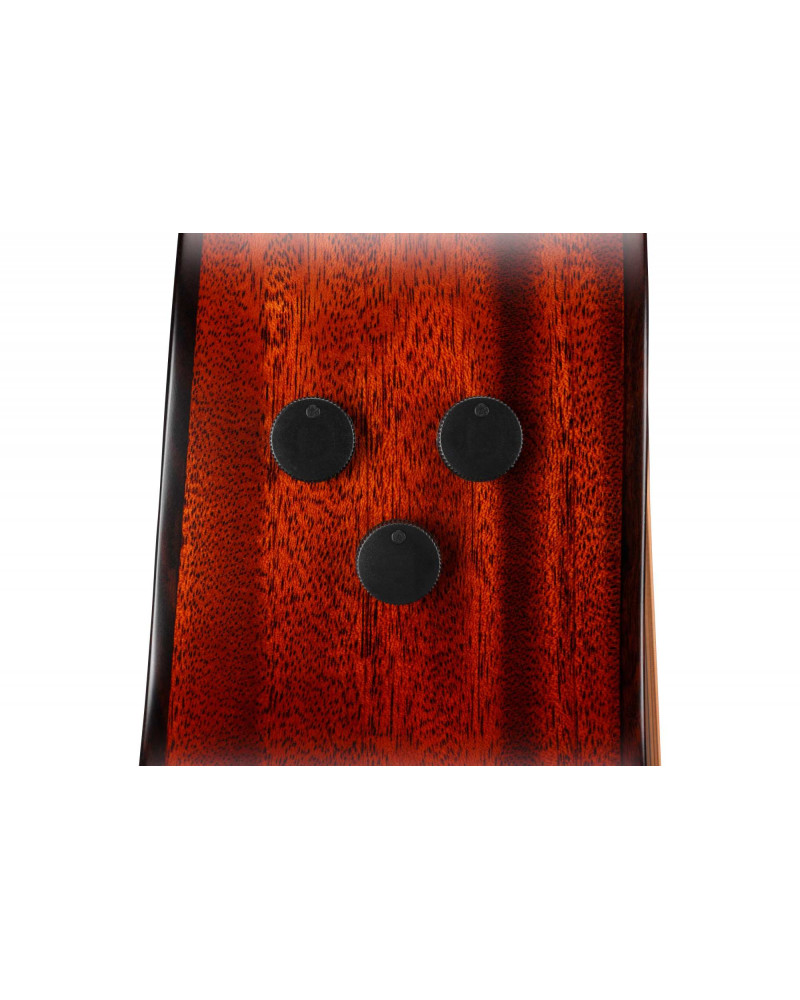 Ibanez AE410-LGS Platinum Collection Acoustic Guitar 6 String - Natural Low Gloss + Case