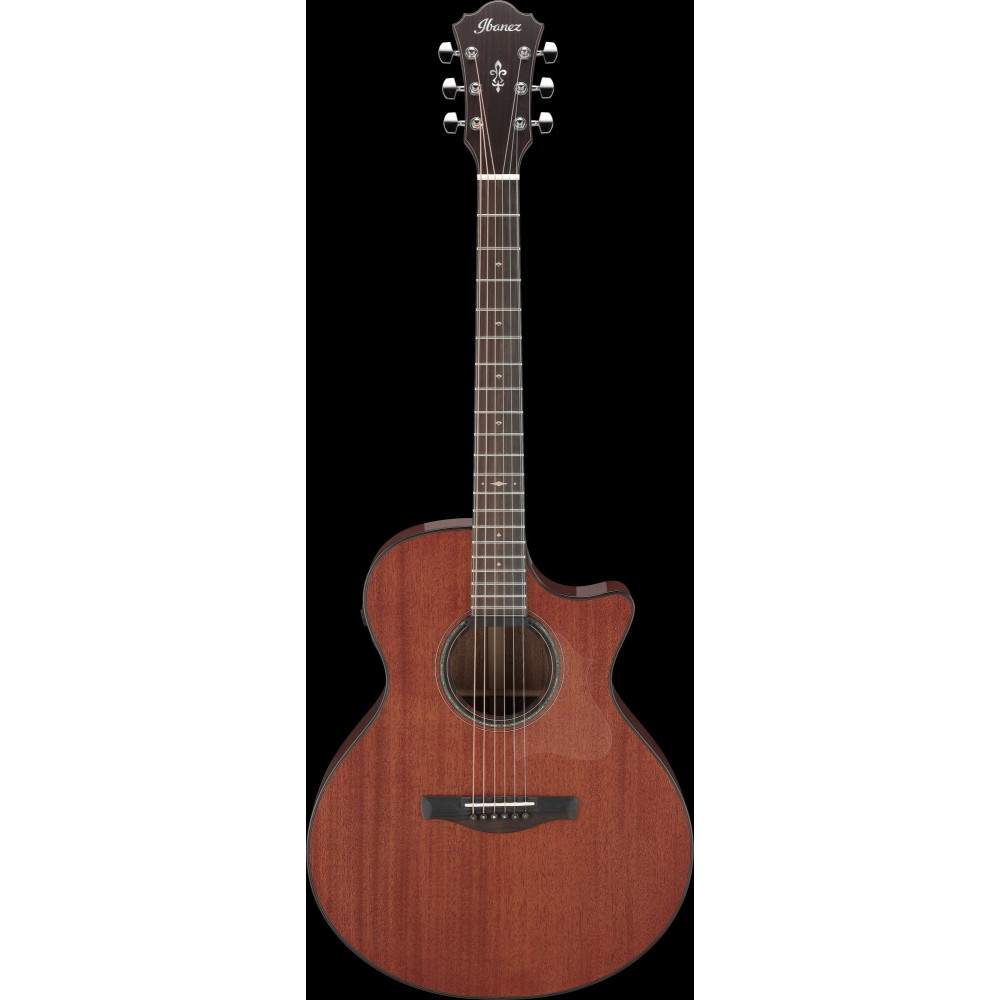 Ibanez AE440-LGS Platinum Collection AE Acoustic Guitar 6-String - Natural Low Gloss + Case