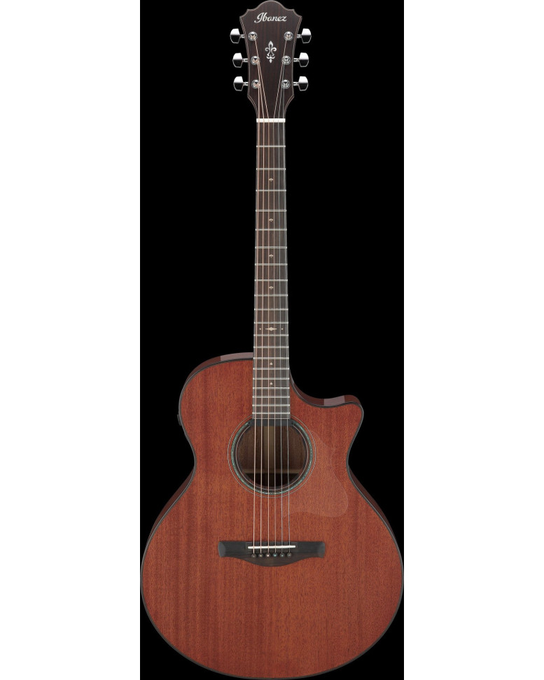 Ibanez AE440-LGS Platinum Collection AE Acoustic Guitar 6-String - Natural Low Gloss + Case