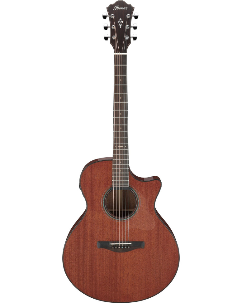 Ibanez AE440-LGS Platinum Collection AE Acoustic Guitar 6-String - Natural Low Gloss + Case