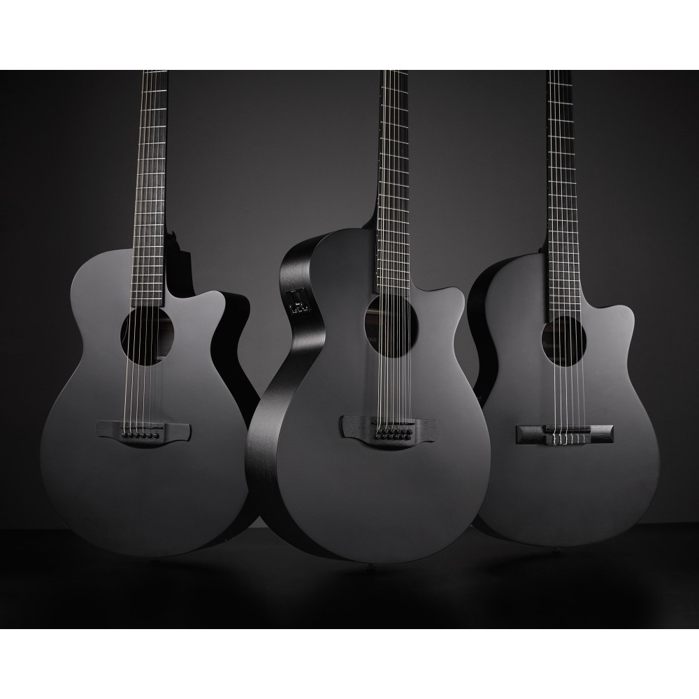 Ibanez AEG1221-BOT AEG Acoustic Guitar 12-String - Black Out