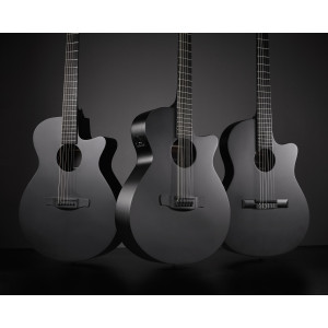 Ibanez AEG1221-BOT AEG Acoustic Guitar 12-String - Black Out
