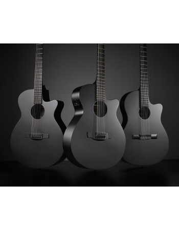 Ibanez AEG1221-BOT AEG Acoustic Guitar 12-String - Black Out