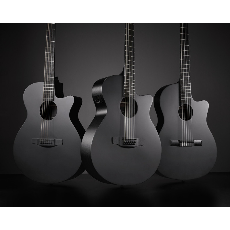 Ibanez AEG1221-BOT AEG Acoustic Guitar 12-String - Black Out