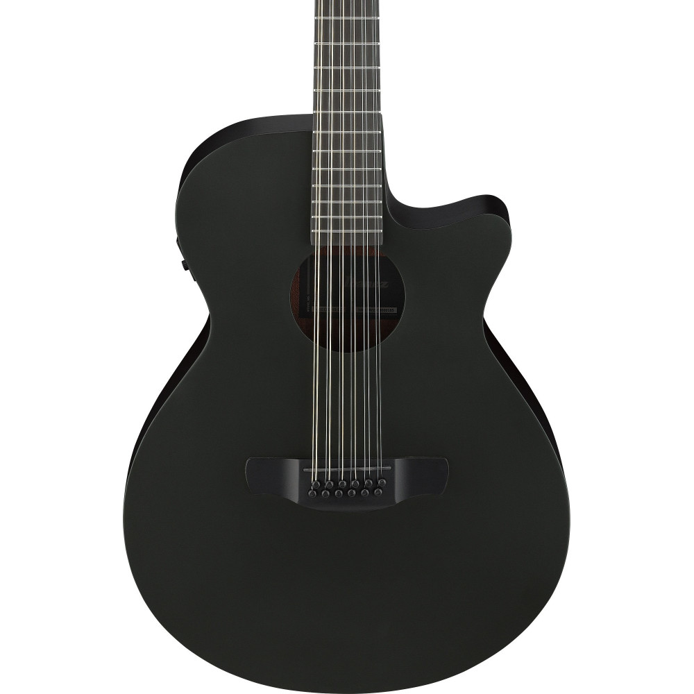 Ibanez AEG1221-BOT AEG Acoustic Guitar 12-String - Black Out