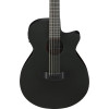 Ibanez AEG1221-BOT AEG Acoustic Guitar 12-String - Black Out