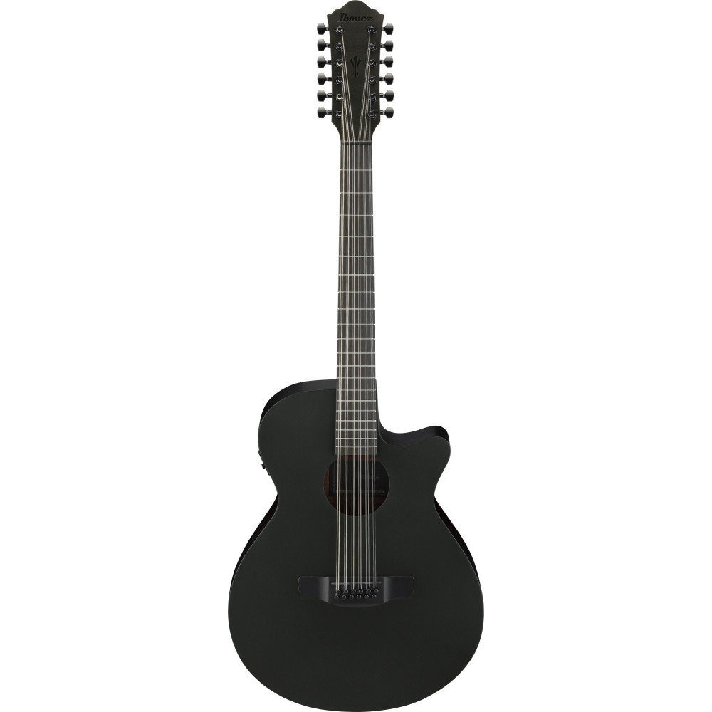 Ibanez AEG1221-BOT AEG Acoustic Guitar 12-String - Black Out