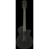 Ibanez AEG1221-BOT AEG Acoustic Guitar 12-String - Black Out