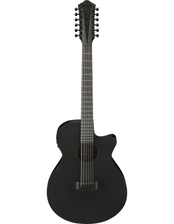 Ibanez AEG1221-BOT AEG Acoustic Guitar 12-String - Black Out