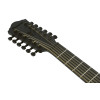 Ibanez AEG1221-BOT AEG Acoustic Guitar 12-String - Black Out