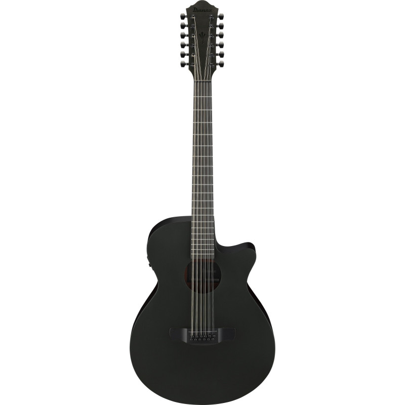 Ibanez AEG1221-BOT AEG Acoustic Guitar 12-String - Black Out