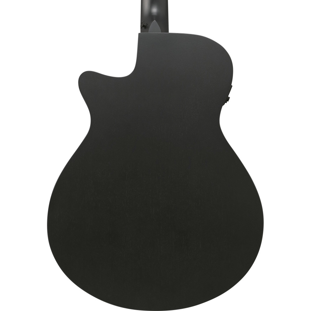 Ibanez AEG1221-BOT AEG Acoustic Guitar 12-String - Black Out