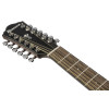 Ibanez AEG5012-BKH AEG Acoustic Guitar 12-String - Black High Gloss