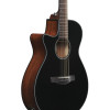 Ibanez AEG50L-BKH AEG Acoustic Guitar 6-String Lefty - Black High Gloss
