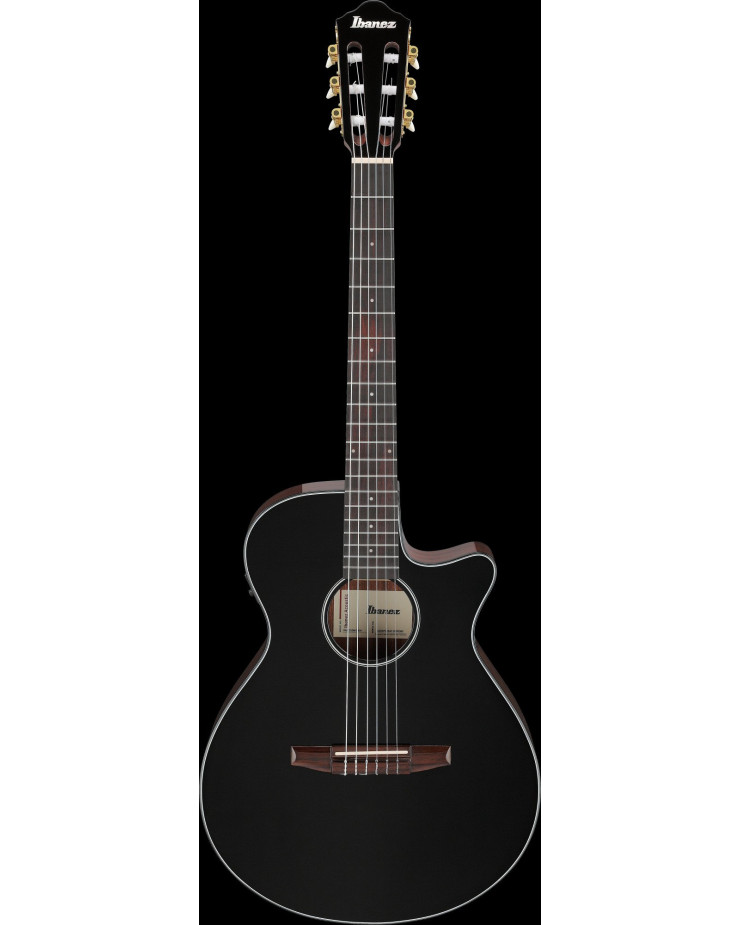 Ibanez AEG50N-BKH AEG Nylon String Guitar 6-String - Black High Gloss