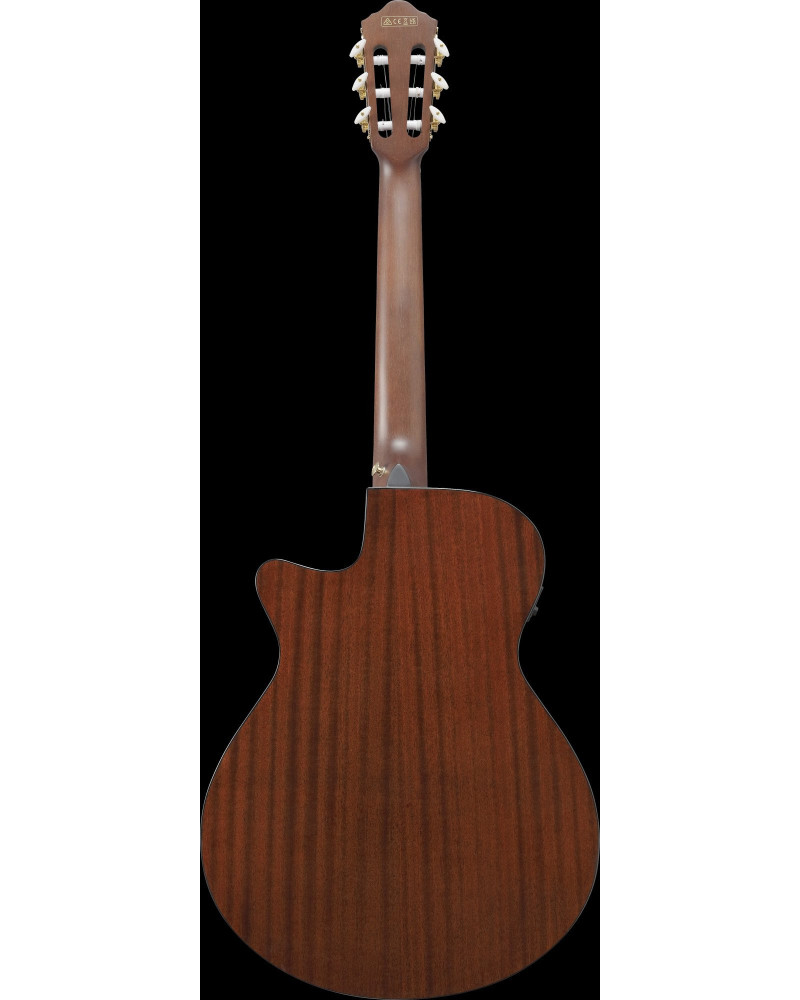 Ibanez AEG50N-BKH AEG Nylon String Guitar 6-String - Black High Gloss