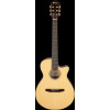 Ibanez AEG50N-NT AEG Nylon String Guitar 6-String - Natural