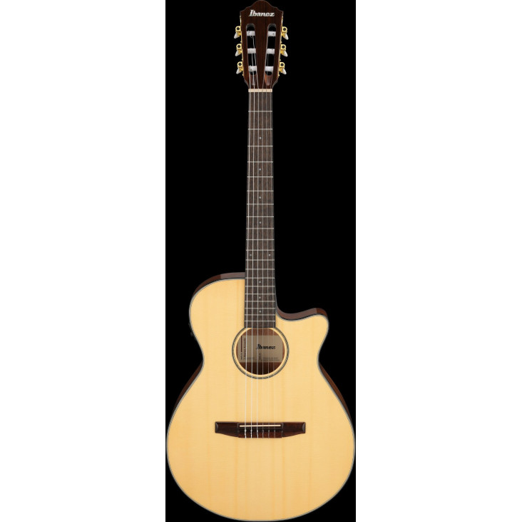 Ibanez AEG50N-NT AEG Nylon String Guitar 6-String - Natural