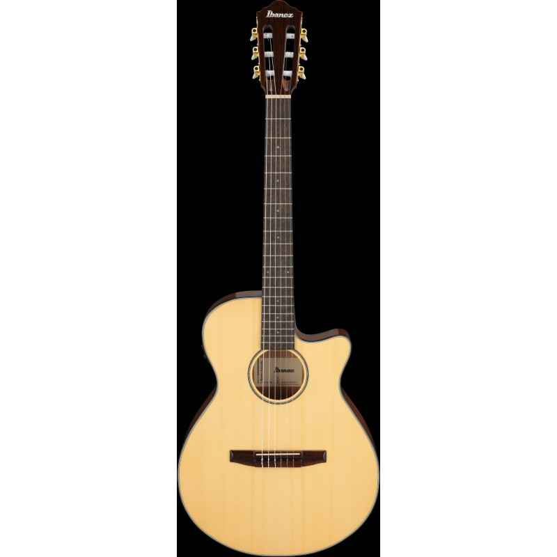 Ibanez AEG50N-NT AEG Nylon String Guitar 6-String - Natural