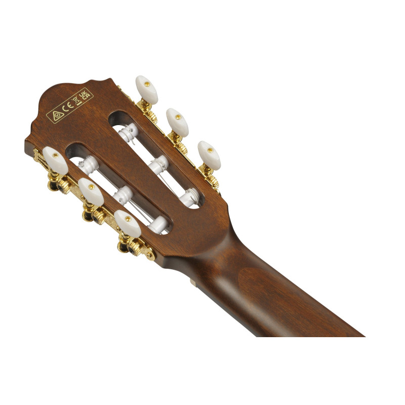 Ibanez AEG50N-NT AEG Nylon String Guitar 6-String - Natural