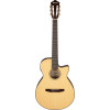 Ibanez AEG50N-NT AEG Nylon String Guitar 6-String - Natural
