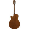 Ibanez AEG50N-NT AEG Nylon String Guitar 6-String - Natural