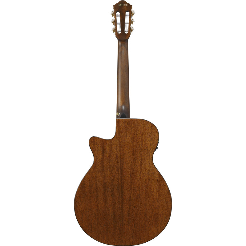 Ibanez AEG50N-NT AEG Nylon String Guitar 6-String - Natural