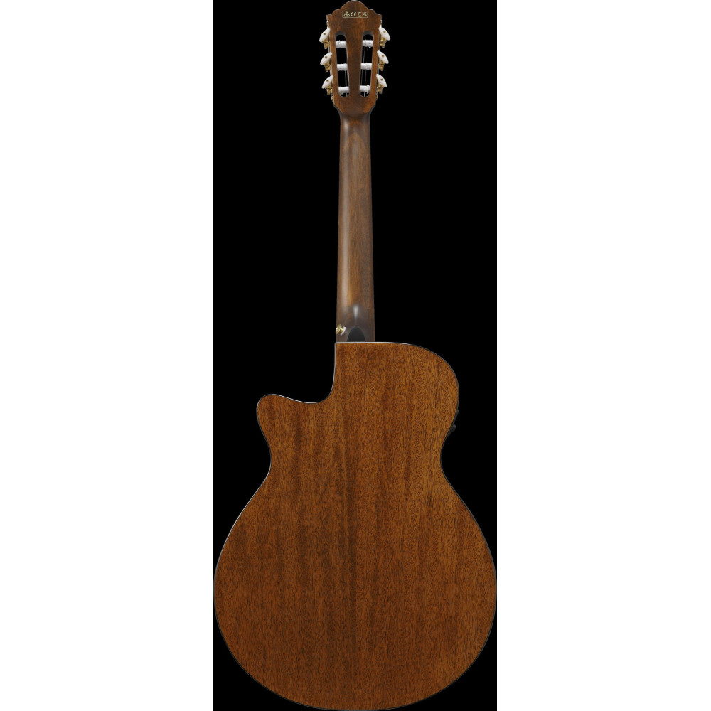 Ibanez AEG50N-NT AEG Nylon String Guitar 6-String - Natural
