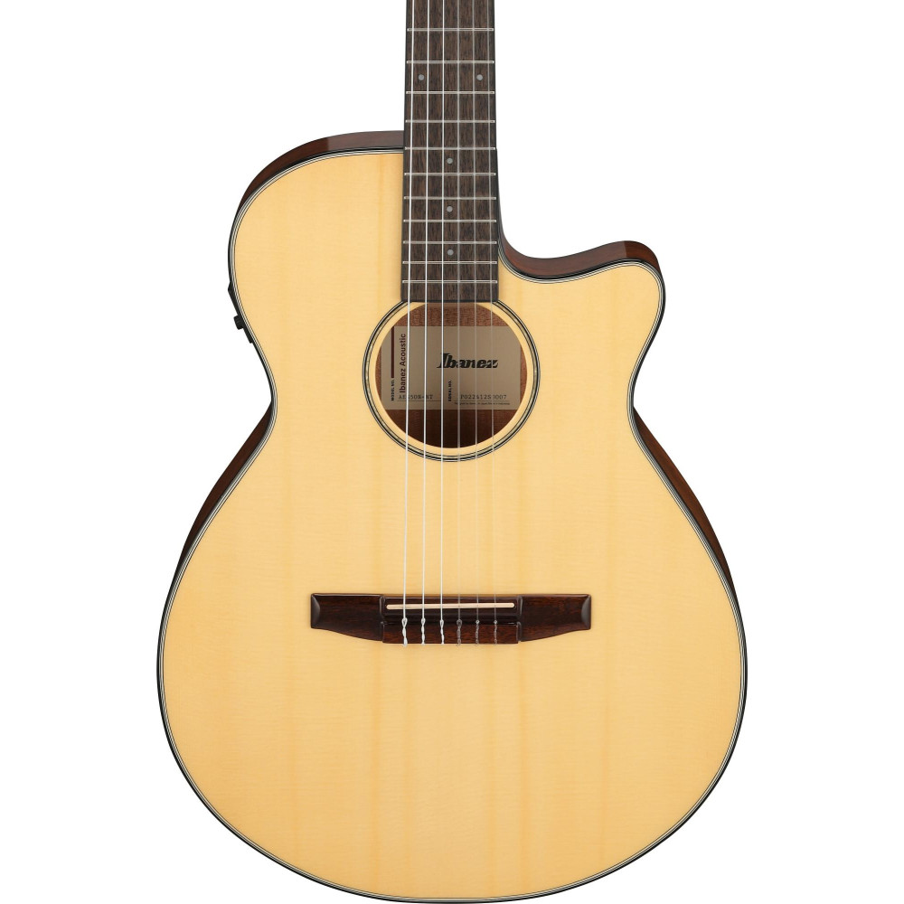 Ibanez AEG50N-NT AEG Nylon String Guitar 6-String - Natural
