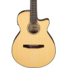 Ibanez AEG50N-NT AEG Nylon String Guitar 6-String - Natural