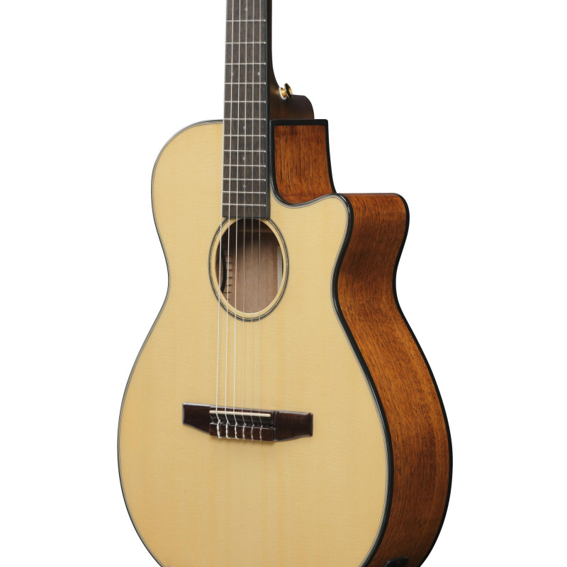 Ibanez AEG50N-NT AEG Nylon String Guitar 6-String - Natural