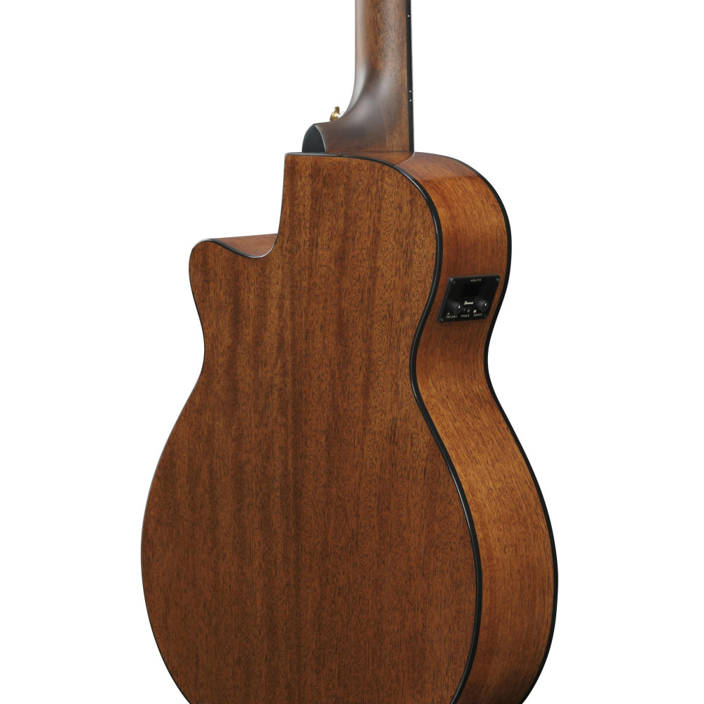Ibanez AEG50N-NT AEG Nylon String Guitar 6-String - Natural