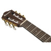 Ibanez AEG50N-NT AEG Nylon String Guitar 6-String - Natural