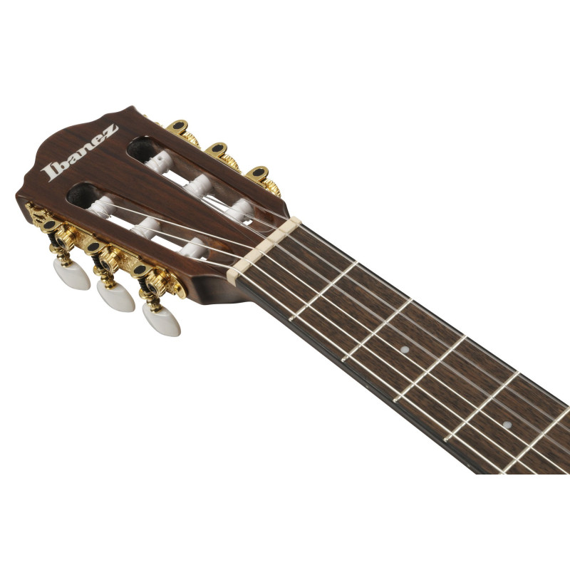 Ibanez AEG50N-NT AEG Nylon String Guitar 6-String - Natural