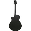Ibanez AEG621-BOT AEG Acoustic Guitar 6-String - Black Out