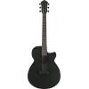 Ibanez AEG621-BOT AEG Acoustic Guitar 6-String - Black Out