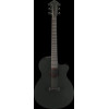 Ibanez AEG621-BOT AEG Acoustic Guitar 6-String - Black Out