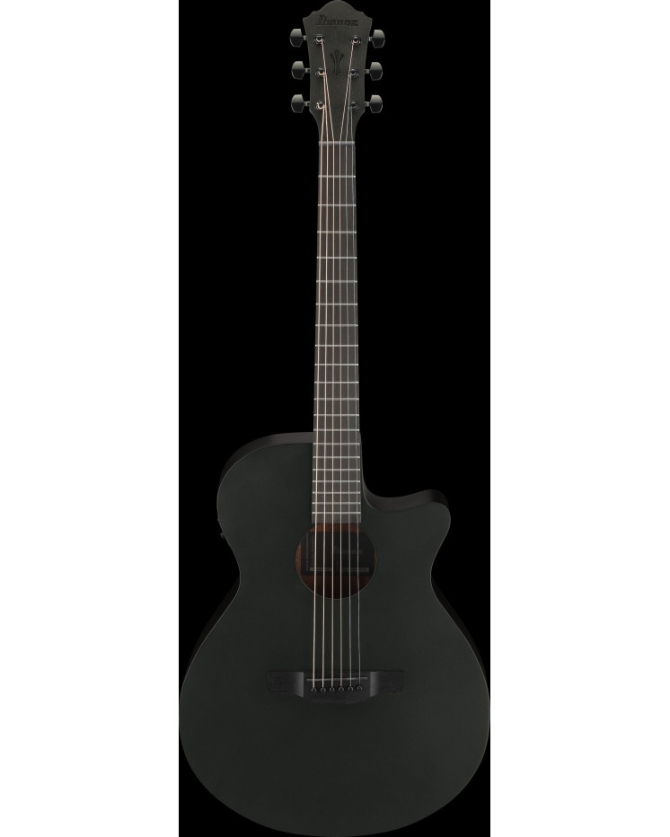 Ibanez AEG621-BOT AEG Acoustic Guitar 6-String - Black Out