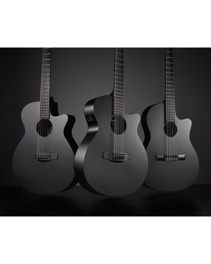 Ibanez AEG621-BOT AEG Acoustic Guitar 6-String - Black Out
