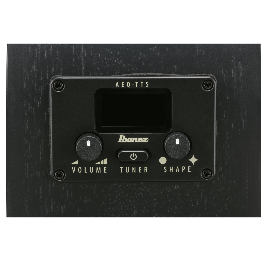 Ibanez AEG621-BOT AEG Acoustic Guitar 6-String - Black Out