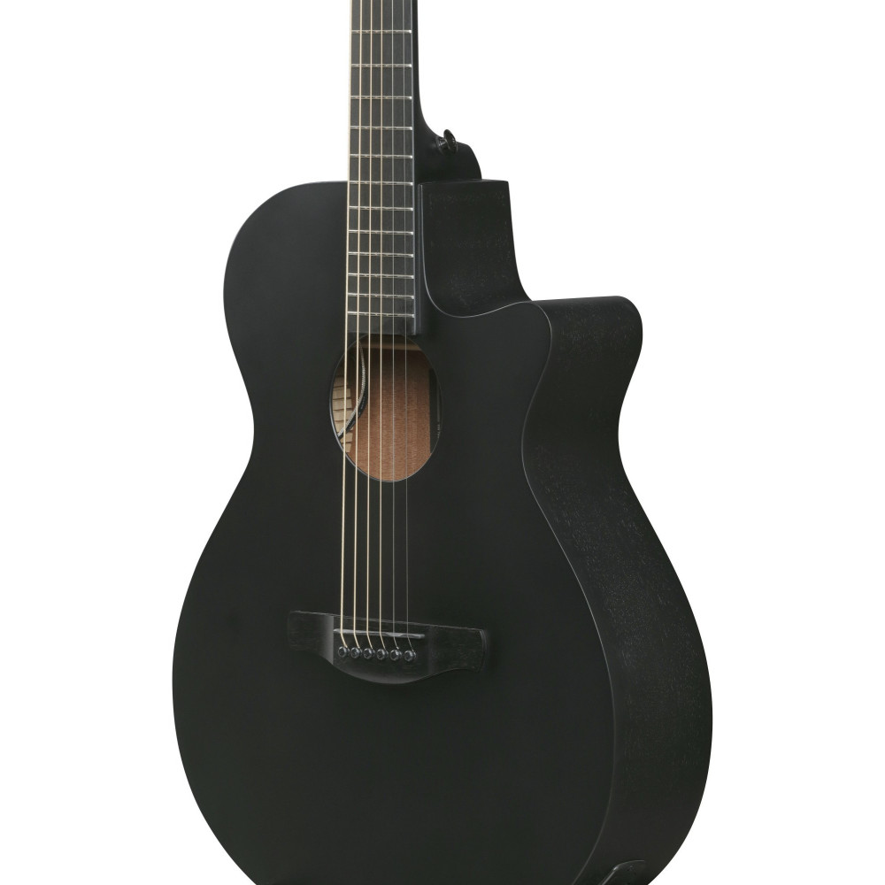 Ibanez AEG621-BOT AEG Acoustic Guitar 6-String - Black Out