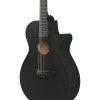 Ibanez AEG621-BOT AEG Acoustic Guitar 6-String - Black Out